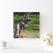 Blue German Shepherd Clock Vierkante Klok (Huis)