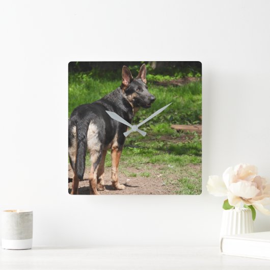 Blue German Shepherd Clock Vierkante Klok (Huis)