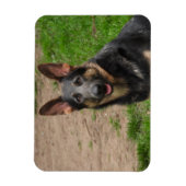 Blue German Shepherd Dog Magneet (Verticaal)