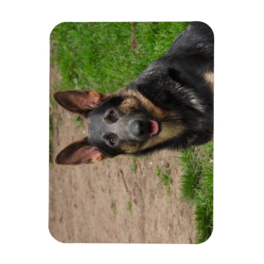 Blue German Shepherd Dog Magneet (Verticaal)