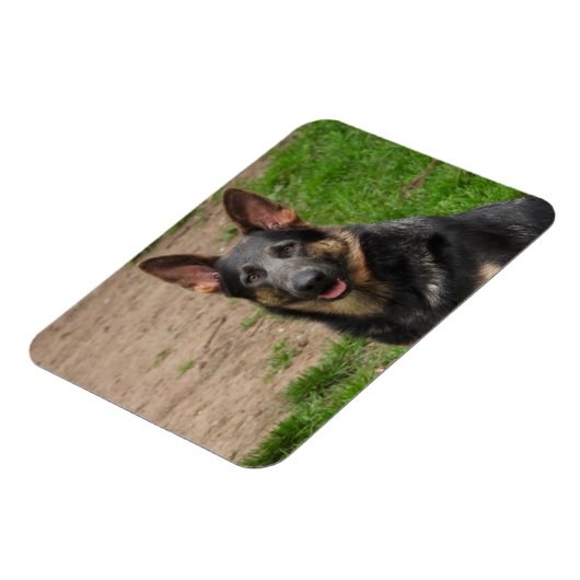 Blue German Shepherd Dog Magneet (Linkerzijde)