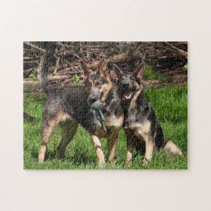Blue German Shepherd Duo Legpuzzel
