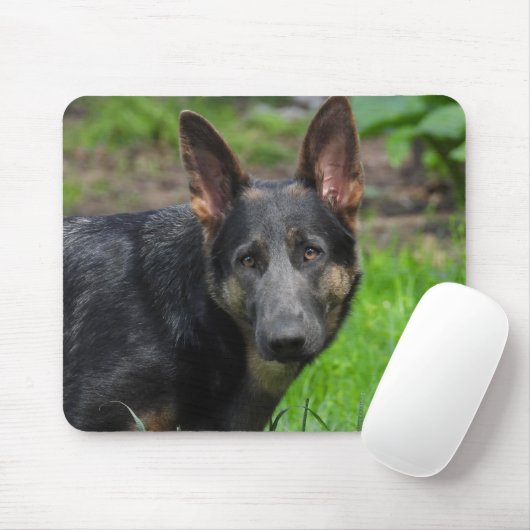 Blue German Shepherd Muismat (Met muis)