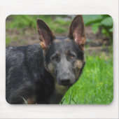 Blue German Shepherd Muismat (Voorkant)