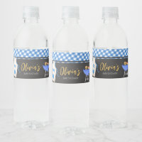 Blue Gingham BBQ Baby shower