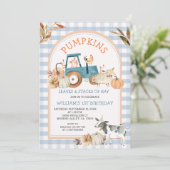 Blue Gingham Herfst Pompoen Boerderij Animal Birth Kaart (Staand voorkant)