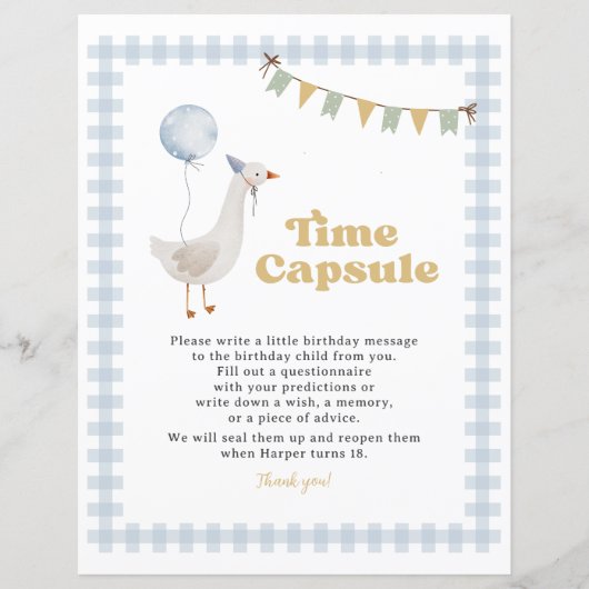 Blue Gingham One Gekke Goose Time Capsule Sign (Voorkant)