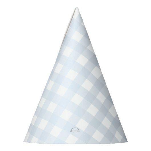Blue Gingham Party Pet Feesthoedjes (Links)