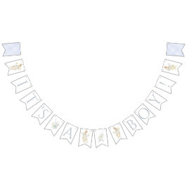 Blue Gingham Peter the Rabbit Baby shower MUTED BL Vlaggetjes