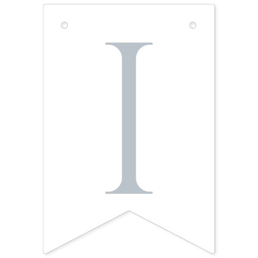 Blue Gingham Peter the Rabbit Baby shower MUTED BL Vlaggetjes (Derde vlag)