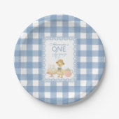  Blue Gingham Silly Goose 1st Birthday Papieren Bordje (Voorkant)