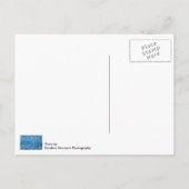 Blue Glacier Briefkaart (Achterkant)