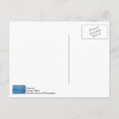 Blue Glacier Briefkaart (Achterkant)