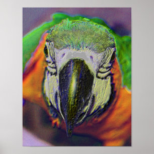 Blue Gold Macaw Face Parrot Fantasy Art Poster