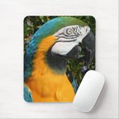 Blue & Gold Macaw Mousepad Muismat (Met muis)