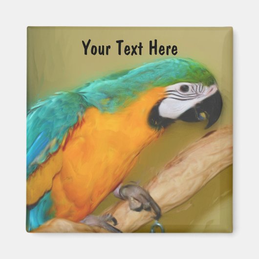 Blue Gold Macaw Parrot Animal Magnet (Voorkant)