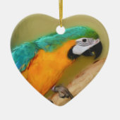 Blue Gold Macaw Parrot Bird Ornament (Voorkant)