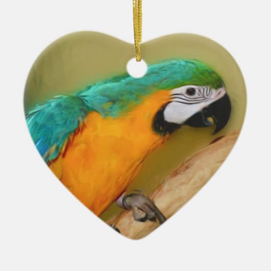 Blue Gold Macaw Parrot Bird Ornament (Voorkant)