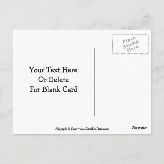 Blue Gold Macaw Parrot  Briefkaart (Achterkant)