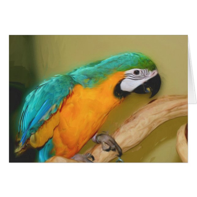 Blue Gold Macaw Parrot Painting Animal Card (Voorkant Horizontaal)
