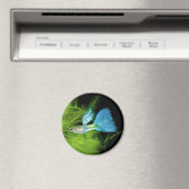 Blue Grass Guppy Magneet (Insitu (Vaatwasser))