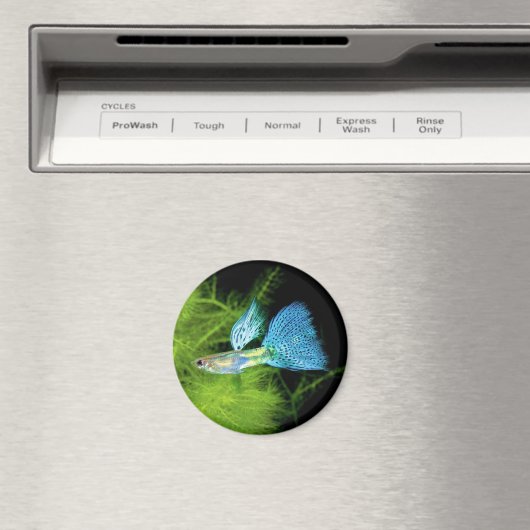 Blue Grass Guppy Magneet (Insitu (Vaatwasser))