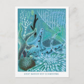 Blue Great Barrier Reef Echinoderms | VINTAGE Briefkaart (Voorkant)