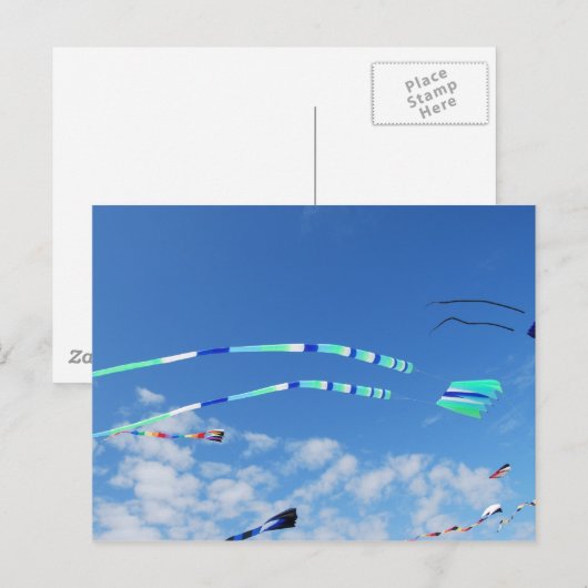 Blue Green Long Tail Kite Briefkaart (Voorkant / Achterkant)