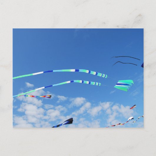 Blue Green Long Tail Kite Briefkaart (Voorkant)