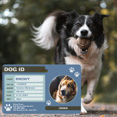 Blue Green Modern Dog ID-Label: eenvoudig en stijl Badge