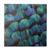Blue green pheasant feather design tegeltje (Voorkant)