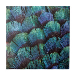Blue green pheasant feather design tegeltje