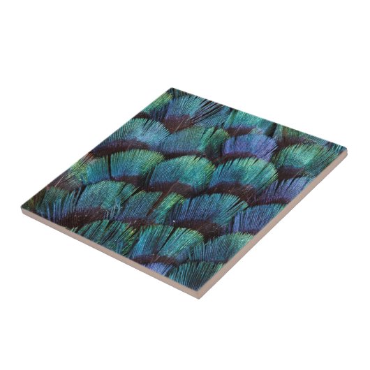 Blue green pheasant feather design tegeltje (Zijkant)