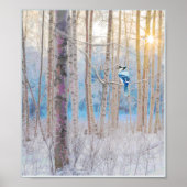 Blue Grey Blue Jay Bird Forest Trees Art Poster (Voorkant)