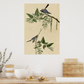 Blue Grey Flycatcher Poster (Keuken)