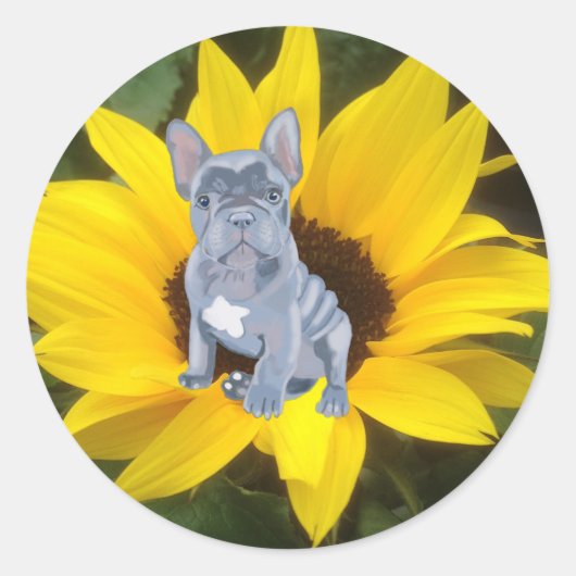 Blue Grey French Bulldog Puppy and Sunflower Ronde Sticker (Voorkant)