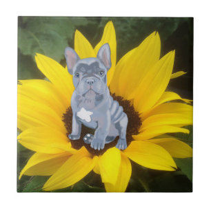 Blue Grey French Bulldog Puppy and Sunflower Tegeltje