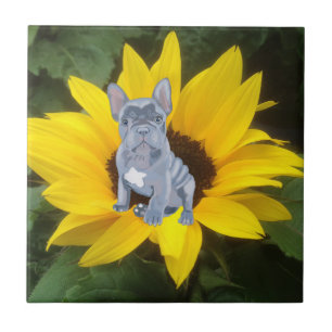 Blue Grey French Bulldog Puppy and Sunflower Tegeltje