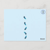 Blue-Grey Gnatcatcher Backyard Bird Briefkaart (Achterkant)