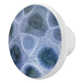 Blue Grey Petoskey Stone Keramische Knop (Rechts)