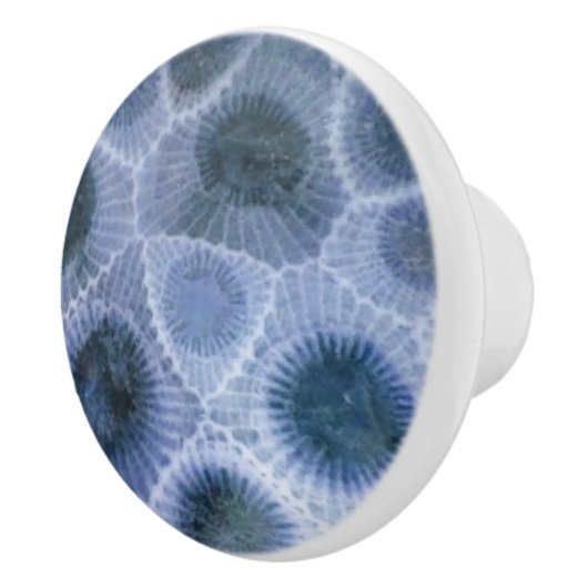 Blue Grey Petoskey Stone Keramische Knop (Rechts)