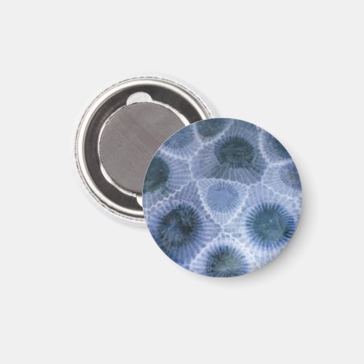 Blue Grey Petoskey Stone Magneet (Voorkant / Achterkant)