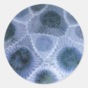 Blue Grey Petoskey Stone Stickers