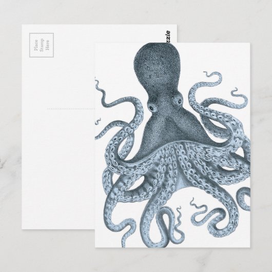 Blue Grey Vintage Octopus Illustration Briefkaart (Voorkant / Achterkant)
