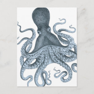 Blue Grey Vintage Octopus Illustration Briefkaart