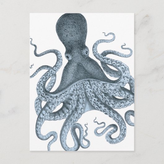 Blue Grey Vintage Octopus Illustration Briefkaart (Voorkant)
