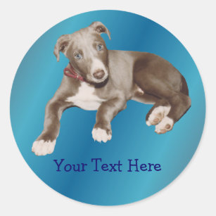 Blue Greyhound Puppy Animal Sticker
