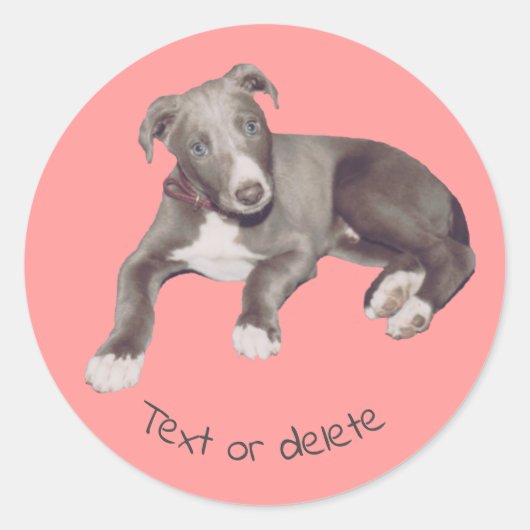 Blue Greyhound Puppy op maat Ronde Sticker (Voorkant)
