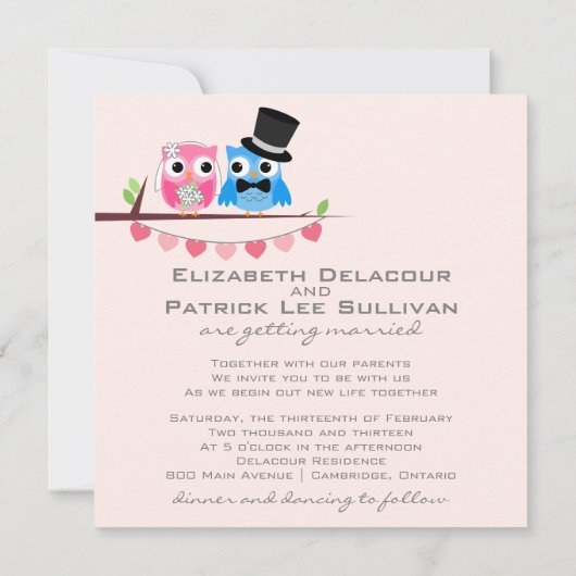 Blue Groom Owl & Pink Bride Owl Weddenschap Kaart (Achterkant)