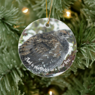 Blue Grouse in Snow Holiday Keramisch Ornament